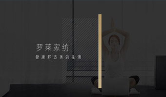 网站案例5