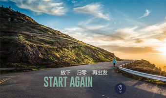 网站案例12