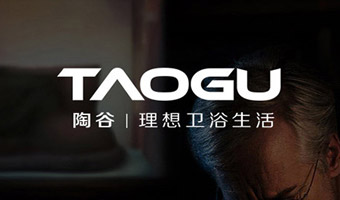 网站案例17