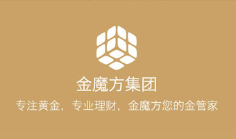 网站案例23