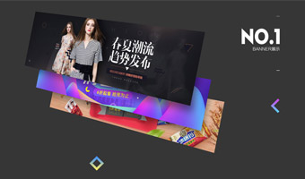 网站案例32